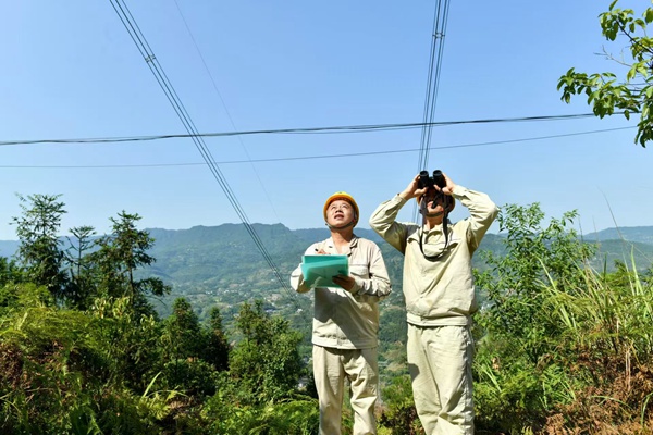 對特高壓和超高壓線路進行特巡。國網重慶江津供電公司供圖