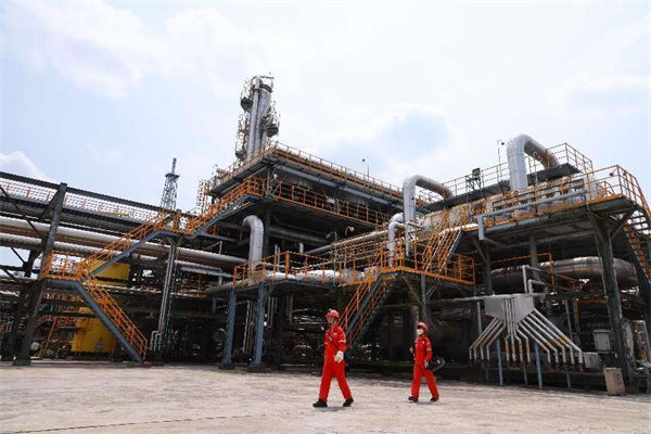 驕陽下的“石油紅”。曾英豪攝