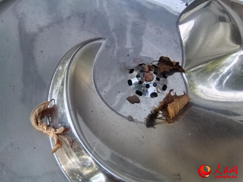 金海灣公園沿線，管理不當的直飲水點位出水口下方水槽中，有落葉、死蟲等垃圾。姚於攝