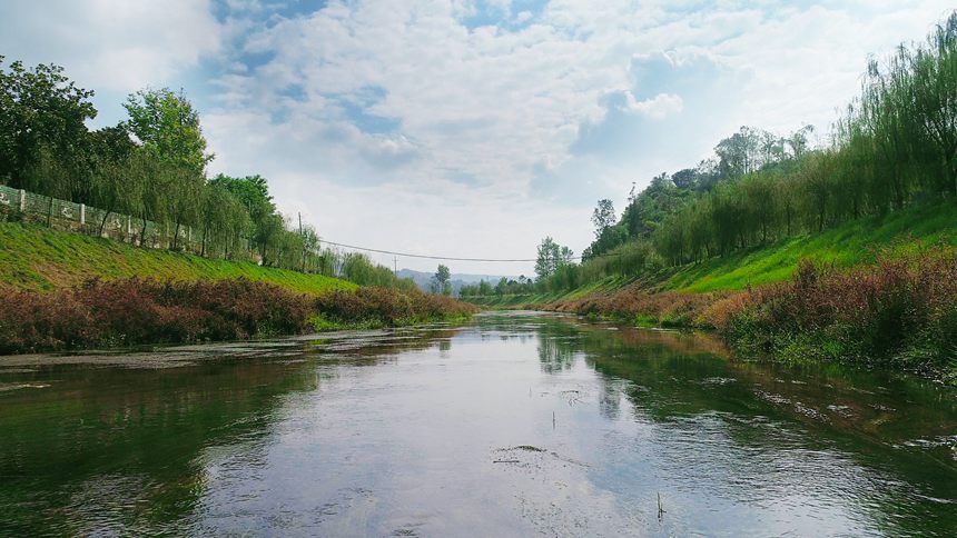 水清岸綠的文化河。文化鎮供圖