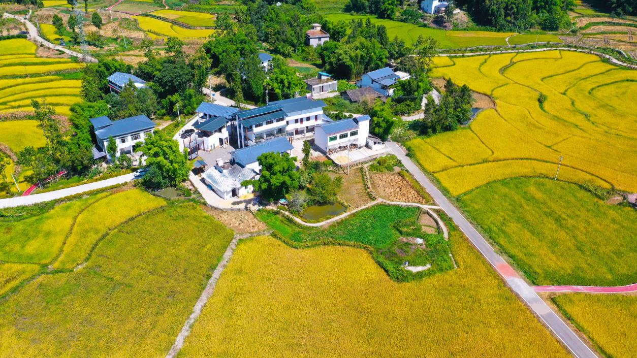 鳥瞰長塘村。劉輝攝