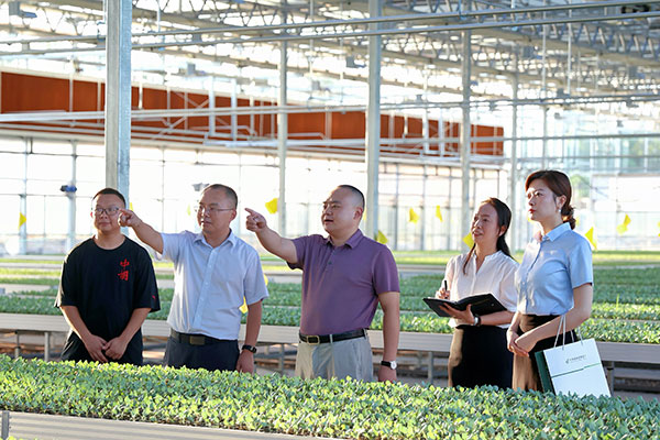 郵儲銀行工作人員實地調研走訪。向詩佳 攝