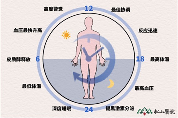 24小睡眠生理周期。重慶松山醫院供圖
