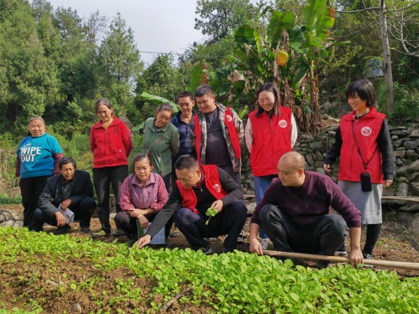 志愿服務活動現場。彭水縣審計局供圖