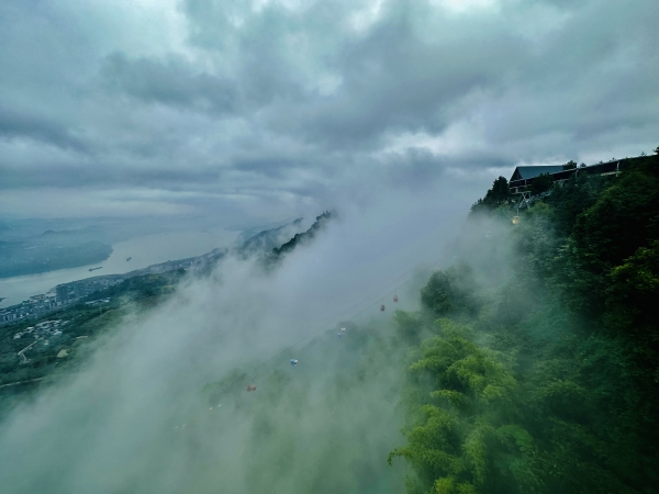游客乘坐索道纜車穿越云海。楊孝永攝