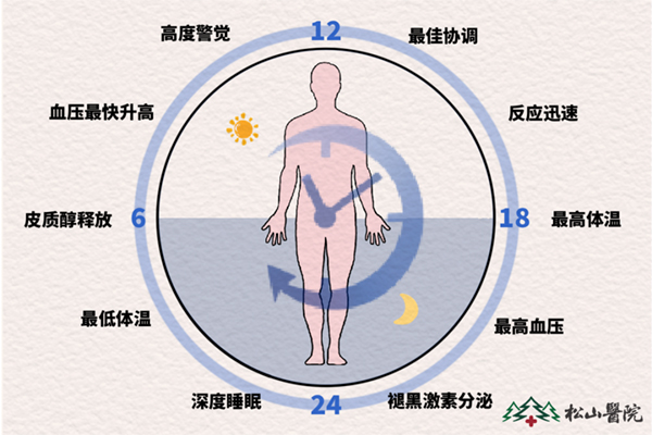 24小睡眠生理周期。重慶松山醫院供圖