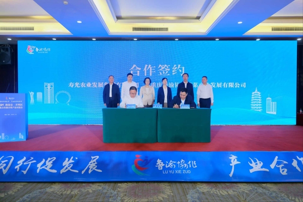 簽約儀式現場。主辦方供圖
