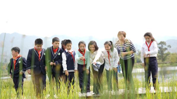 楊君玲帶學生到雙桂湖濕地公園上濕地自然課。受訪者供圖