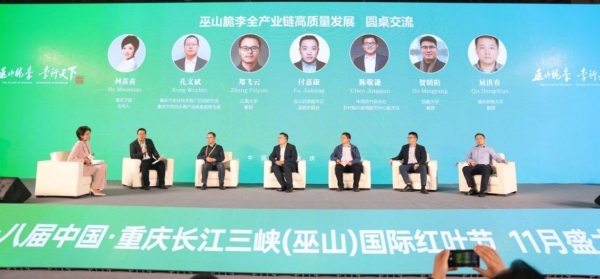 圓桌交流環節。主辦方供圖