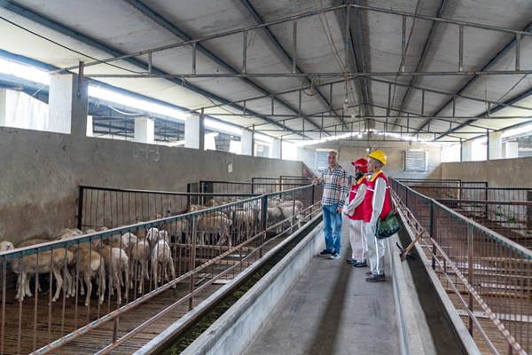 電力員工在榮城構羊現代養殖場開展安全用電檢查。國網重慶永川供電公司供圖