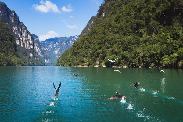 芙蓉江。武隆區委宣傳部供圖