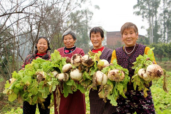 村民收獲蔬菜。銅梁區委宣傳部供圖