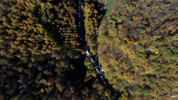 車輛行駛在繽紛彩林中。城口縣委宣傳部供圖