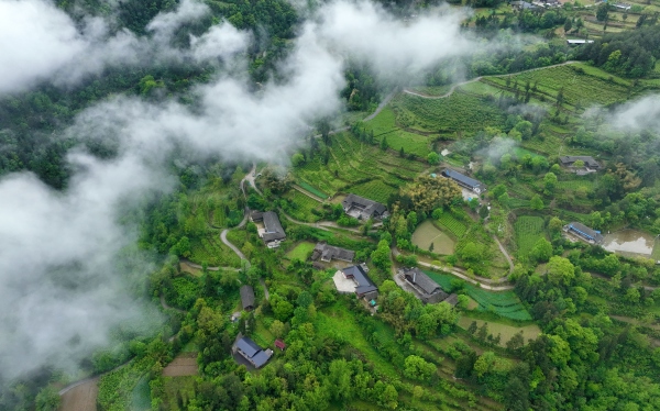 鵝池鎮社溪村的民居。黔江區委宣傳部供圖