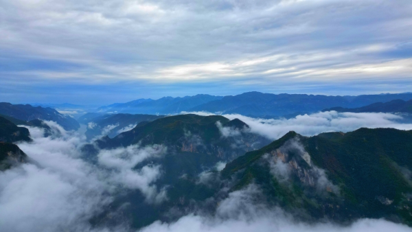 初冬時節，長江巫峽區域再現云海奇觀。魯作炳攝