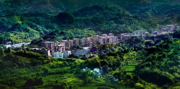 鳥瞰安瀾。安瀾鎮供圖