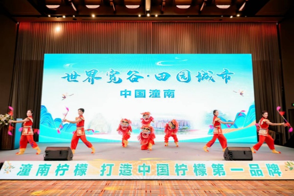 推介活動現場。潼南區委宣傳部供圖