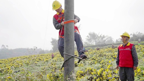電力工人對電力設備進行安全檢查。國網重慶永川供電公司供圖