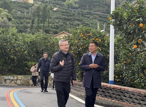 走進永樂鎮長凼村、大壩村臍橙產業園了解發展狀況。光大銀行重慶分行供圖