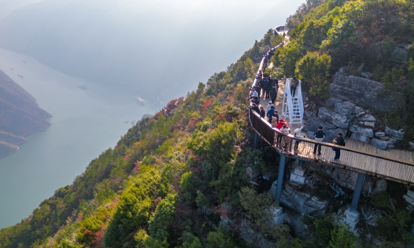 游客打卡巫峽·神女景區紅葉。熊威攝