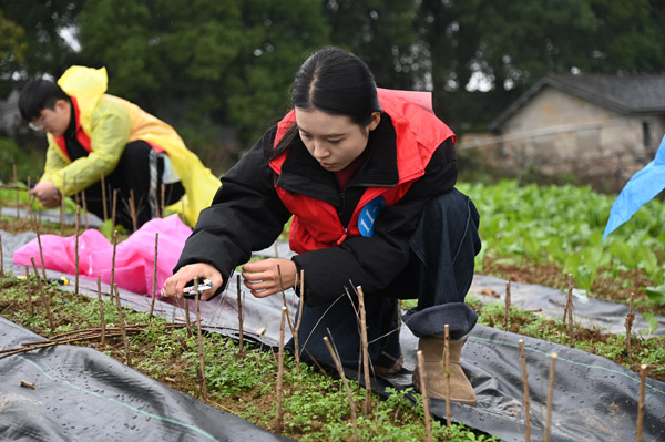 技術考核現場。西南大學供圖