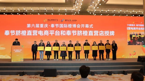 奉節臍橙直營電商平臺和奉節臍橙直營店授牌。劉濱清攝