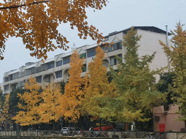 改造后的小區。璧山區住房城鄉建委供圖