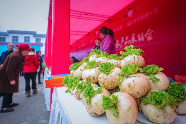 趕水草蔸蘿卜節上，各色農產品熱賣。陳星宇攝