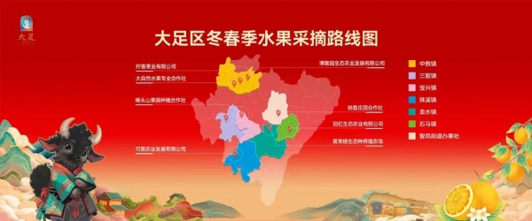 大足冬春季水果采摘路線圖。大足區委宣傳部供圖