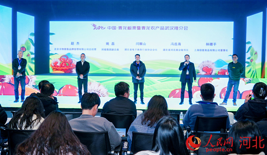 湖北、河北兩地行業協會和企業代表上臺分享如何共享商機，共促合作。人民網記者 周博攝