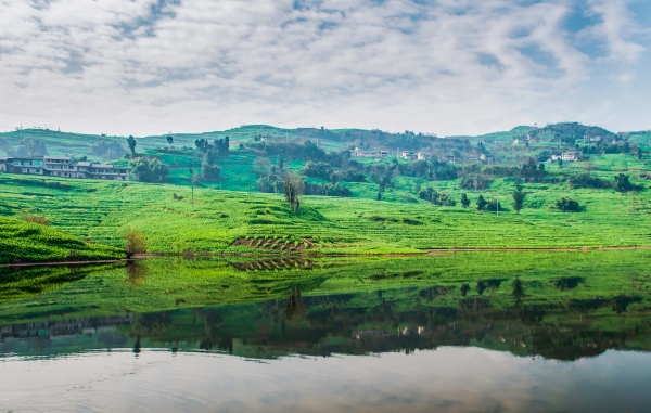 第七屆重慶·涪陵榨菜產業國際博覽會即將開幕。涪陵區委宣傳部供圖