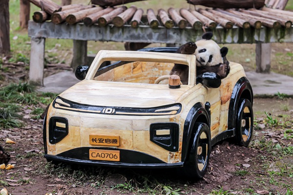 莽燦燦換新車。長安啟源供圖