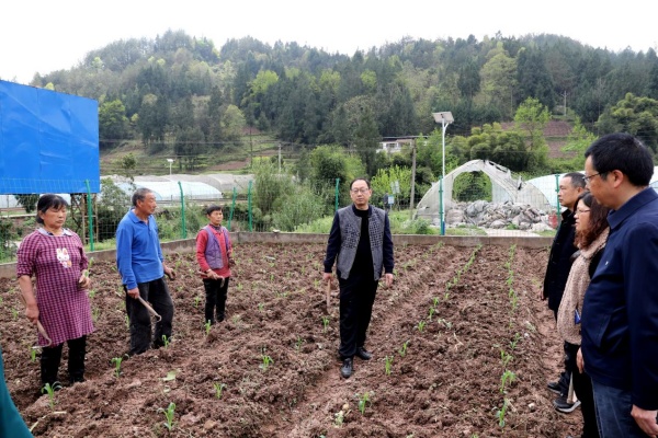 農技人員指導蔬菜種植。云陽縣外郎鄉供圖