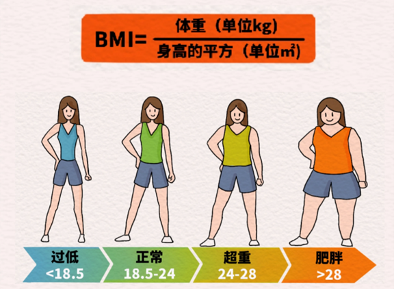 BMI指數參考。重慶松山醫院供圖
