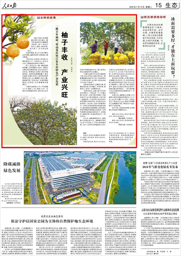 《 人民日報 》( 2025年01月14日 15 版)