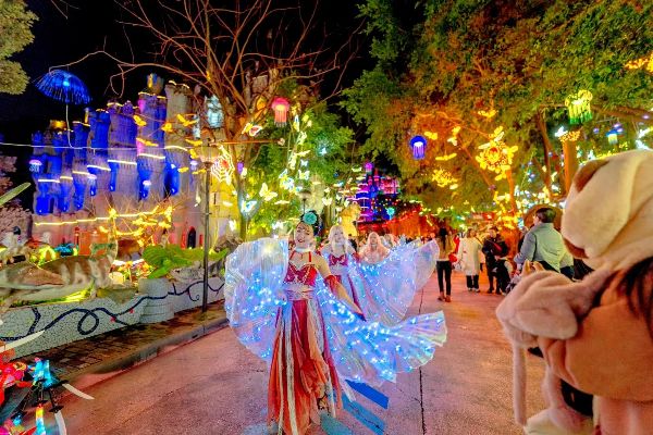 華生園千燈之夜。鐘戈攝