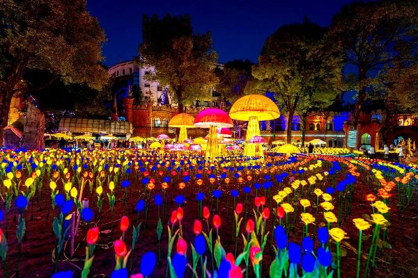 華生園千燈之夜。鐘戈攝