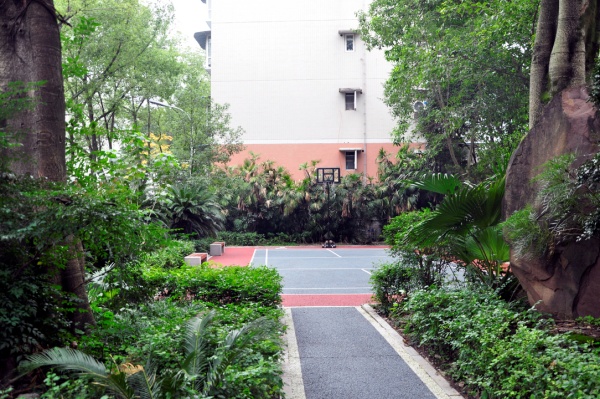 北碚區朝陽街道龍江花園小區“口袋公園”。韋玉婷攝