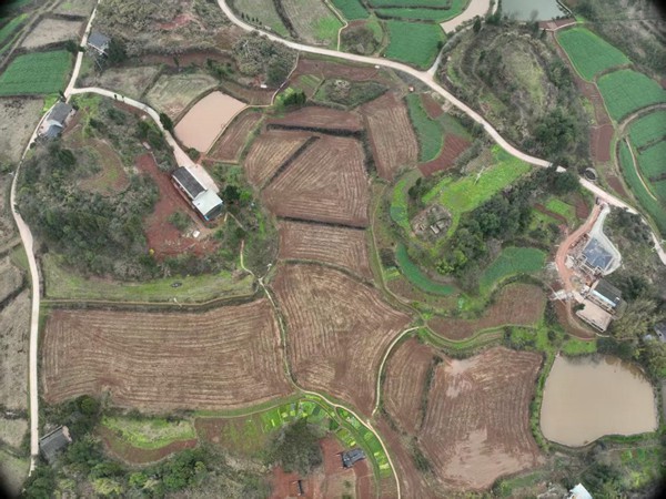 部分高改農田。重慶智慧農服集團供圖