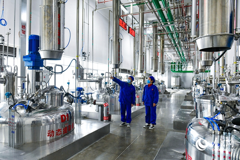 配方顆粒智能車間，中藥可實現自動化高效提取。人民網 程明輝攝