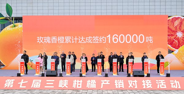 活動現場。付作僑攝