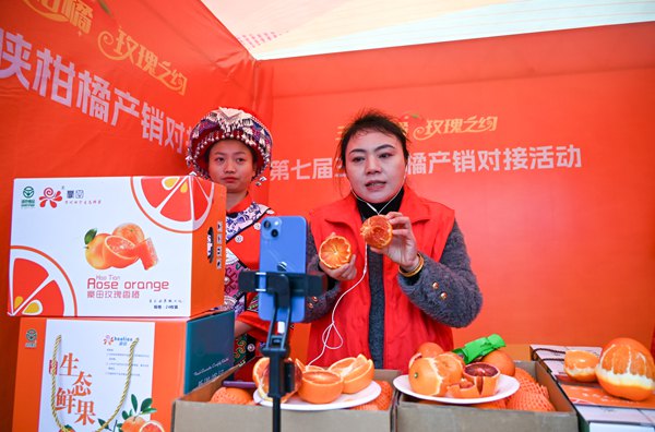 直播三峽柑橘。付作僑攝