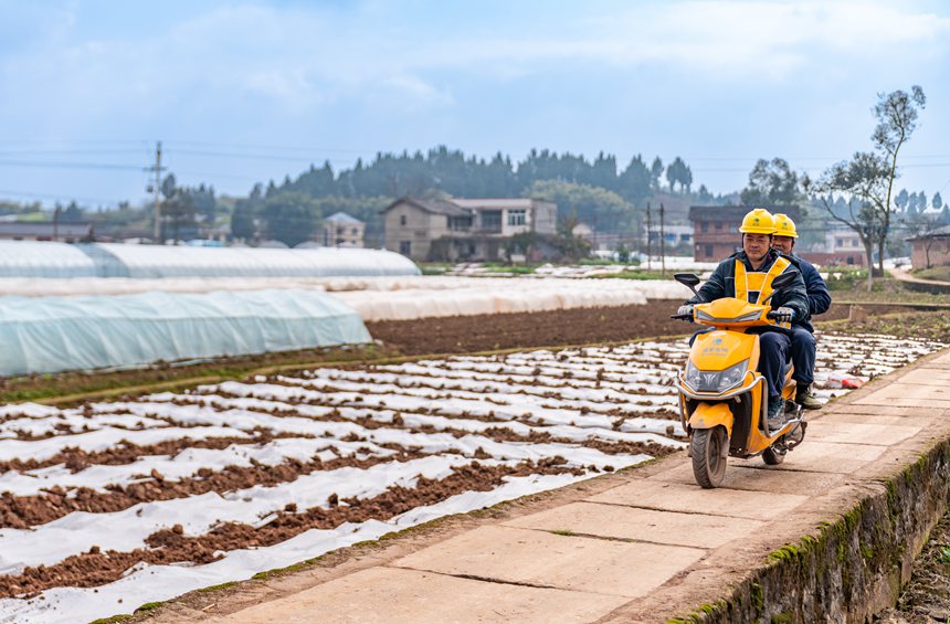 2月25日，在榮昌區吳家鎮雙流村，國網重慶永川供電公司人員以“集中監控+立體巡檢+網格化處置”的高標準巡檢體系開展電力巡檢工作，助力4000余畝高標準農田建設。賴小龍攝