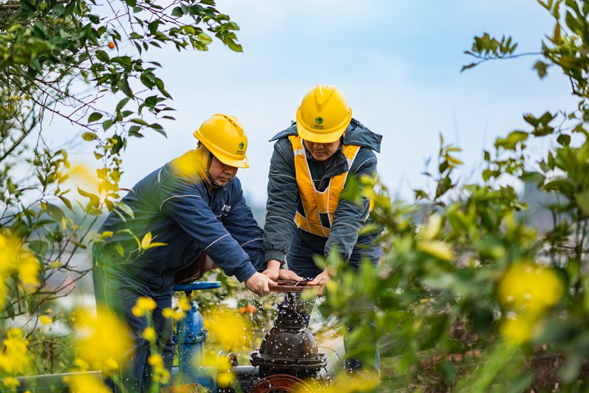 2月25日，在榮昌區清流鎮馬草村血橙種植基地，國網重慶永川供電公司工作人員和果農在一起勞作，了解現階段用電需求，確保果園的噴灌、水肥一體化、凍庫運行等用電設備能夠正常運行。賴小龍攝