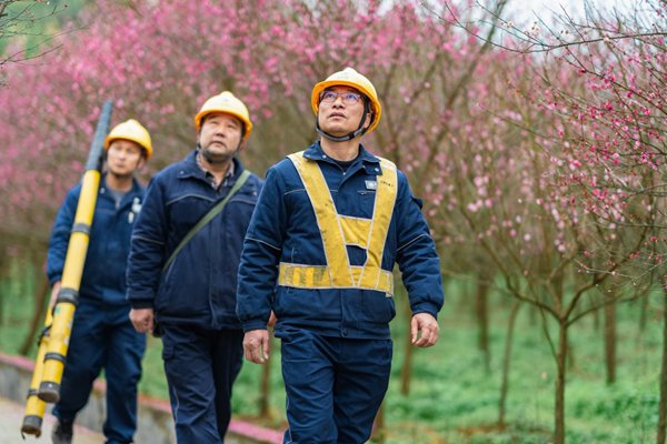 電力員工開展園區線路巡檢。國網重慶永川供電公司供圖