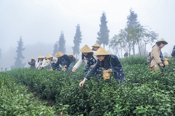 活動現場。主辦方供圖