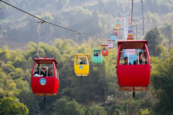 游客乘坐索道踏青。景區供圖