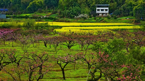 太和美景。任峰攝
