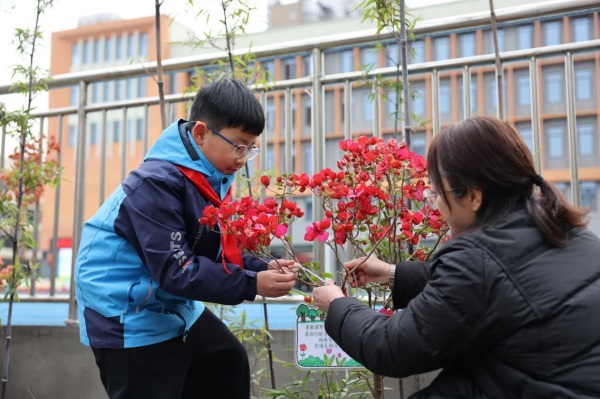 學生、家長給“認養”的三角梅掛上“心愿卡”。秦廷富攝