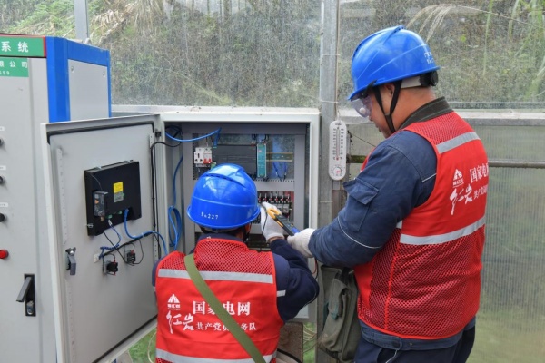 國網重慶市南供電公司員工在石灘鎮水稻商品化育苗中心檢查配電箱。楊明麗攝